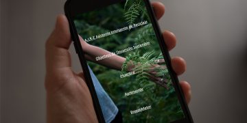 5 apps impresionantes para contribuir a la sostenibilidad