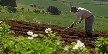 Instituciones del Estado apoyarán proyectos de productores agropecuarios