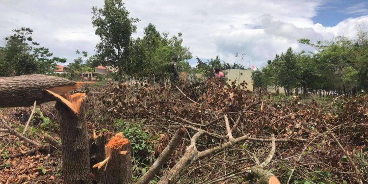 Presidente PRM en SGB rechaza invasión de terrenos en cuenca de río La Sabita.