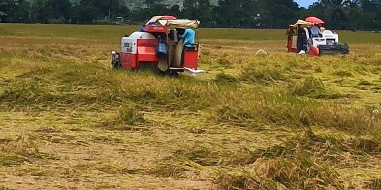 DIGERA visita Bajo Yuna y zonas agropecuarias en riesgos por lluvias