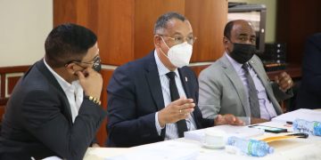 Subcomisión de Justicia de la Cámara de Diputados aprueba modificar 82 artículos del proyecto del Código Penal.