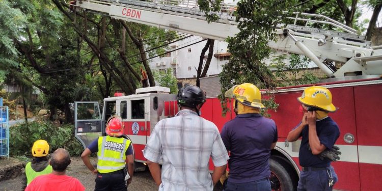 ADN lanza equipos pesados y más de mil brigadistas a las calles por paso de Grace