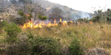 Se registra incendio en el Morro de Montecristi
