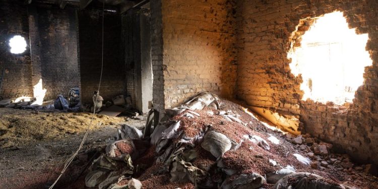 Rusia se abre a las exportaciones de cereales de Ucrania