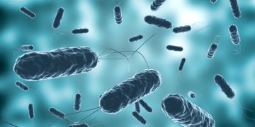 Medidas a tomar ante reciente caso cólera en el país