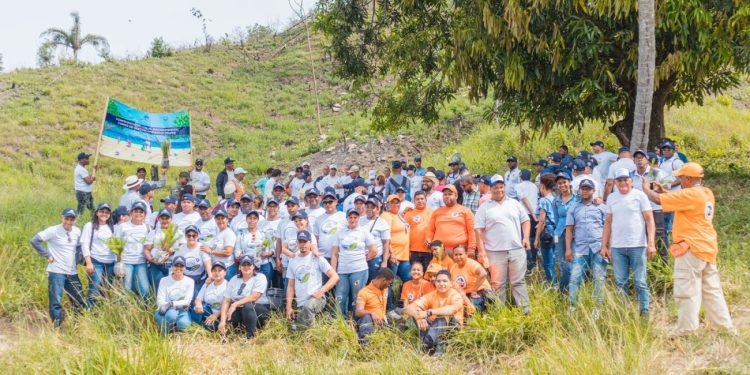 Ministerio Administrativo de la Presidencia siembra más de 4,000 pinos en cerro de Piedra Blanca