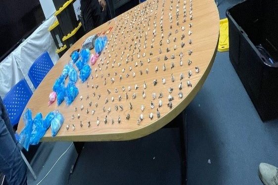 Ministerio Público y DNCD arrestan dos personas por narcotráfico y lavado de activos en caso Paco