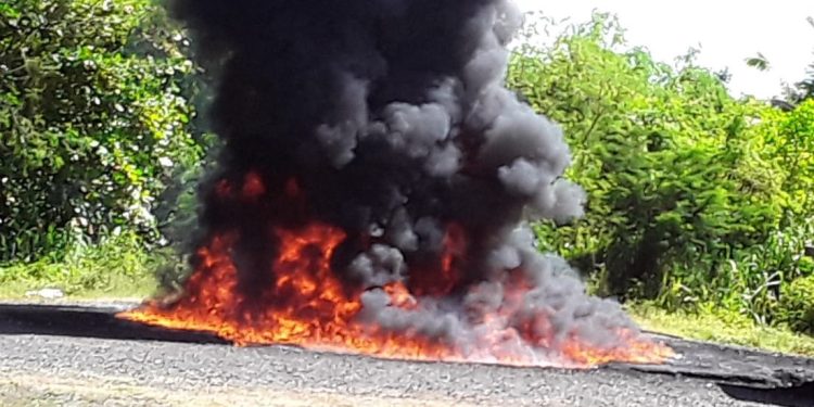 La Procuraduría quema otros 249 kilogramos de drogas