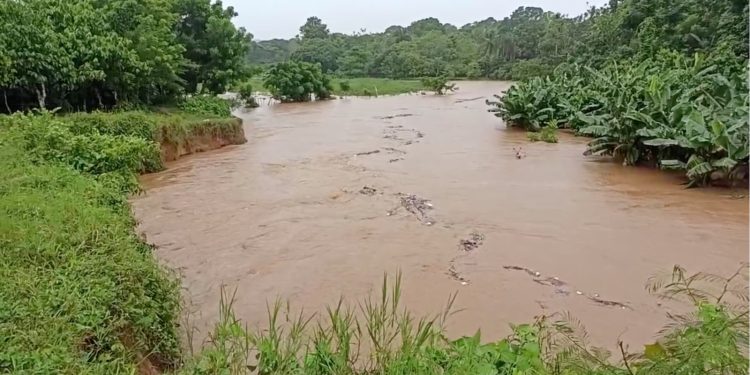 Doctor Asmín Aquino pide al presidente Abinader instruir al MOPC terminar obras pendientes en Monte Plata