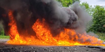 La Procuraduría General incinera otros 243 kilogramos de drogas