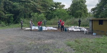 La Procuraduría incinera otros 675 kilogramos de diferentes drogas