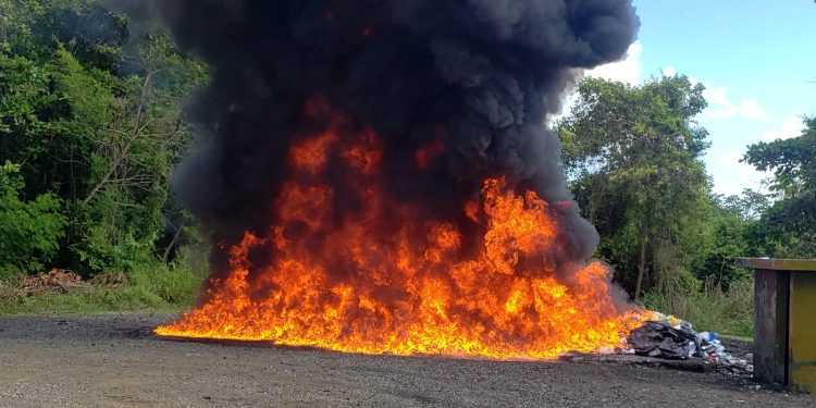 PGR incinera más de 1,060 kilogramos de distintas drogas  SANTO DOMINGO (República Dominicana).-
