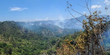Ministerio de Medio Ambiente combate incendios forestales en Jánico y Barahona