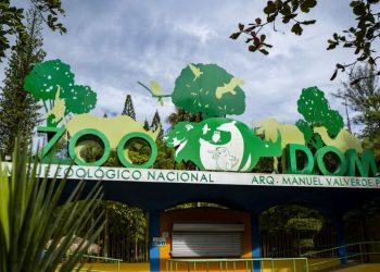 Medio Ambiente autoriza ingreso de especies exóticas al Zoológico Nacional