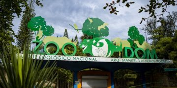 Medio Ambiente autoriza ingreso de especies exóticas al Zoológico Nacional