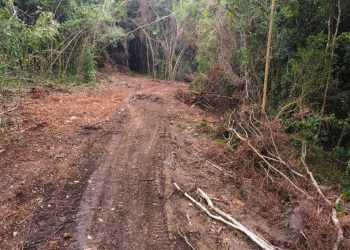 Convocan este marte en Bayaguana a encendido de velas por protección a loma de Managuá
