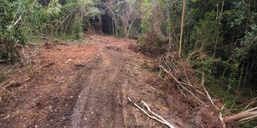 Convocan este marte en Bayaguana a encendido de velas por protección a loma de Managuá